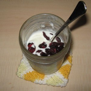Homemade Yogurt